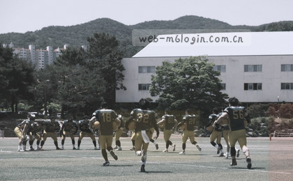 手机电脑无缝切换
数据实时同步到云
家里编辑公司接着干
多设备协作零延迟